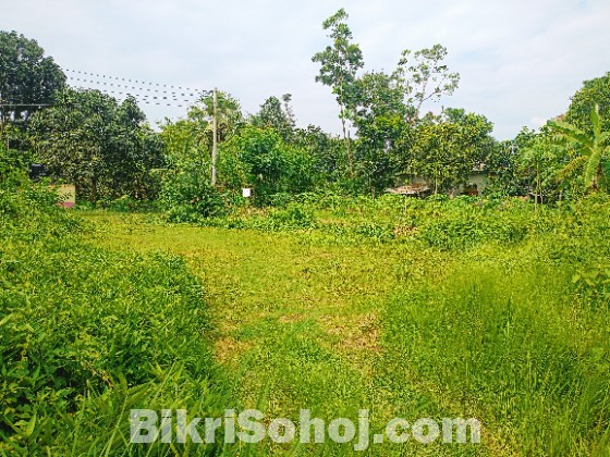 Sale for Land